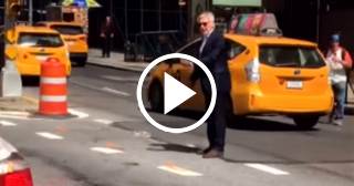 Sorprenden a Harrison Ford organizando el tráfico en una calle de Nueva York