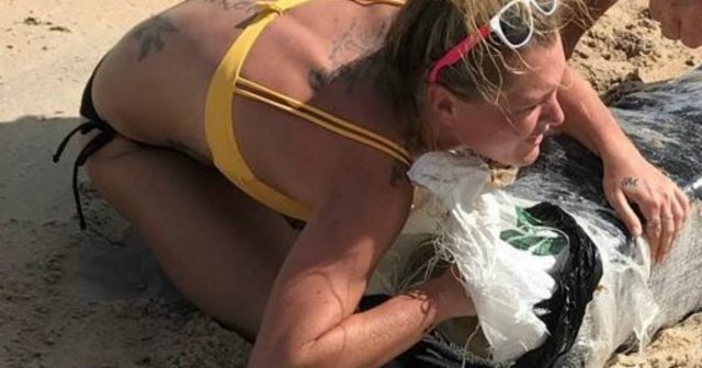 Buscan a una mujer que encontró un paquete de marihuana en la playa tras el huracán