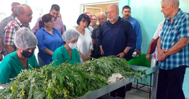 Manuel Marrero inaugura planta de polvo de moringa en Pinar del Río