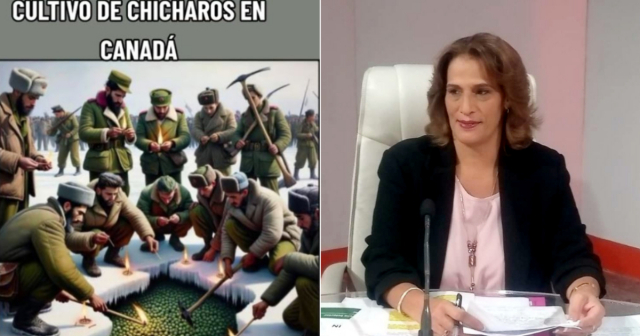 Llueven memes tras excusa de ministra para justificar falta de chícharos en Cuba
