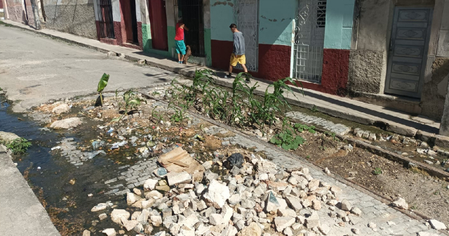 Vecinos plantan viandas y hortalizas en plena calle de Matanzas