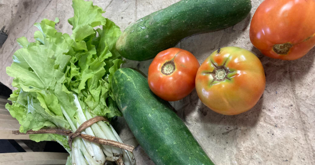Cubano muestra las verduras que puede comprar con 1,400 pesos: “Cuba avanza”