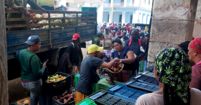 Autoridades detienen y multan a dos camioneros que vendían productos del campo en La Habana Vieja