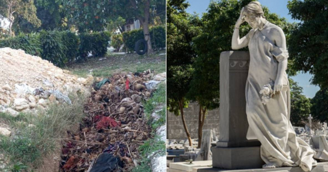 Descubren zanja llena de huesos a la intemperie en Cementerio de Colón