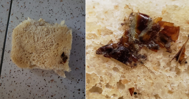 Madre cubana encuentra restos de cucaracha en pan de la bodega: “Si no me doy cuenta le doy eso a mi niña”