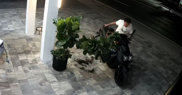 Captan a un hombre robando plantas de una clínica dental de Hialeah