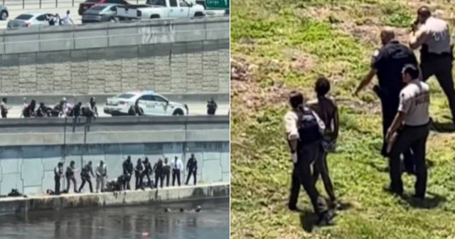 Mujer se lanza al agua para evitar a la policía tras robar un carro en Miami