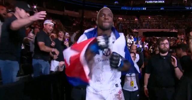 Cubano Robelis Despaigne pierde ante el dominicano Waldo Cortés-Acosta en la UFC