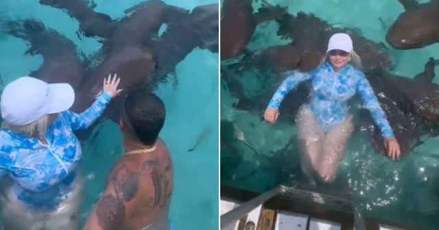 ¡Momento de tensión! Laura, esposa de Osmani, se baña con tiburones en su cumpleaños en Bahamas: "Te acaba de morder, suerte que tenías gorra"