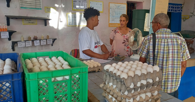 Ministra de Comercio Interior visita bodega con huevos y leche en Cuba
