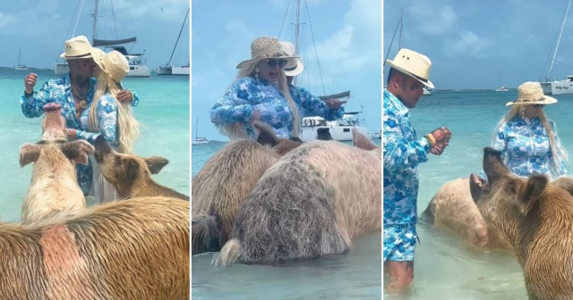 ¡Ahora con un cerdo! Laura, esposa de Osmani, se lleva un nuevo susto en sus vacaciones en Bahamas