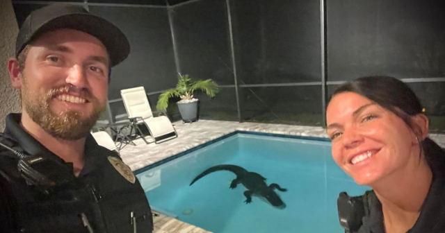 ¡Insólito! Residente de Florida descubre un caimán de tres metros nadando en su piscina