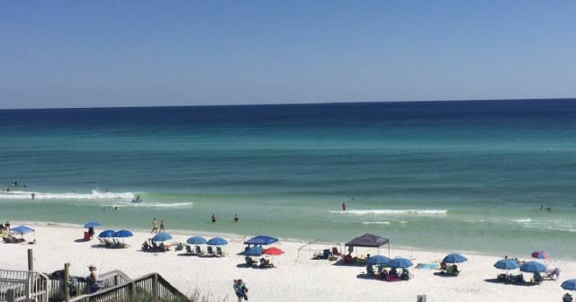 Alertan sobre ataques de tiburones en playas de Florida