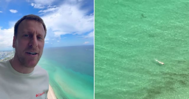Fernando “Monti” Montero avista tiburones desde un edificio alto en Florida: "Creo que nunca más voy a la playa"