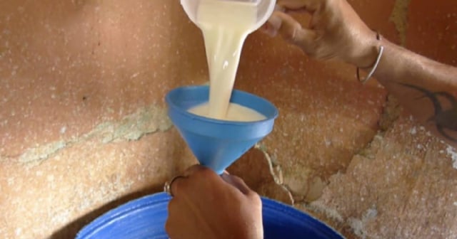 Impago de la leche a los campesinos en Cuba: Seis meses sin cobrar en Manicaragua