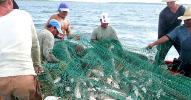 Cuba recibe 1,3 millones de dólares para impulsar la pesca sostenible mientras los cubanos siguen sin acceso a productos del mar