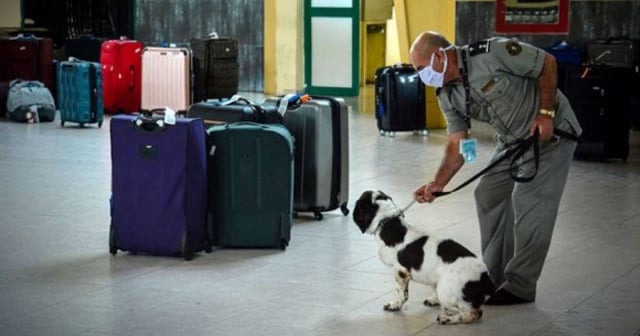 Gobierno culpa a los cubanos residentes en el exterior por aumento del consumo de drogas