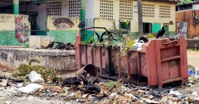 Concurso en redes sociales expone la crisis de la basura en los barrios de Cuba