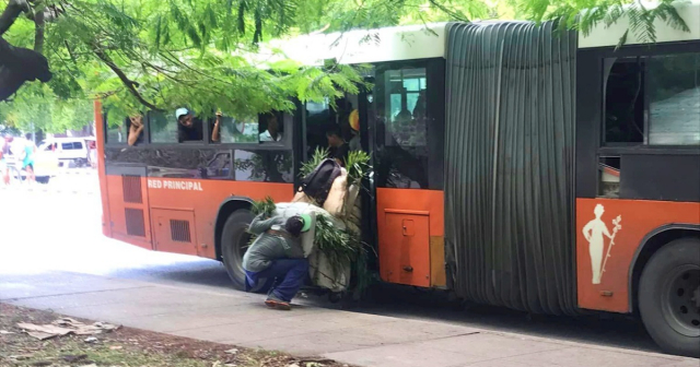 Insólito: Cubano se monta en un ómnibus de La Habana cargado con sacos de hierba 