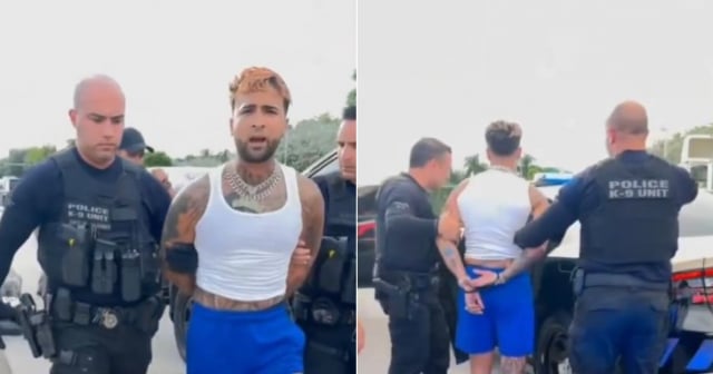 Sale a la luz video de la detención de Ovi en Miami 