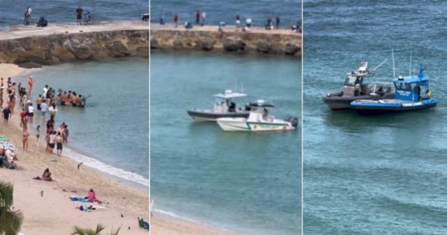 Policía de Miami investiga interacción de bañistas con un manatí en Haulover Inlet