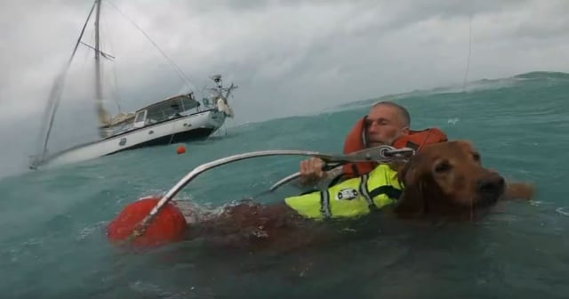 Guardia Costera rescata a un hombre y su perro en el mar durante el huracán Helene en Florida