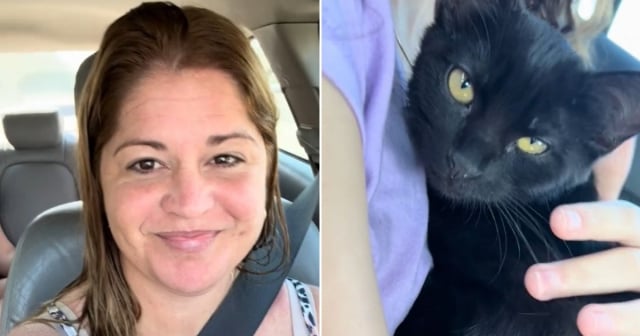 Cubana cumple el sueño de su hija al adoptar una gata: "En USA la responsabilidad de tener animales es diferente a Cuba"