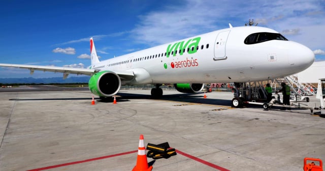 Cubana agradece exitoso viaje a México con su mascota como apoyo emocional en vuelo de Viva Aerobus