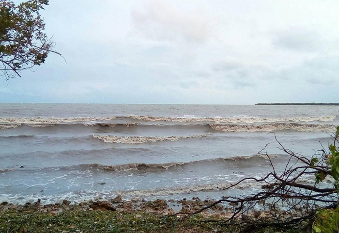 Tormenta Tropical Laura Por Cuba Penetraciones Del Mar Y Arboles Caidos En La Tunas