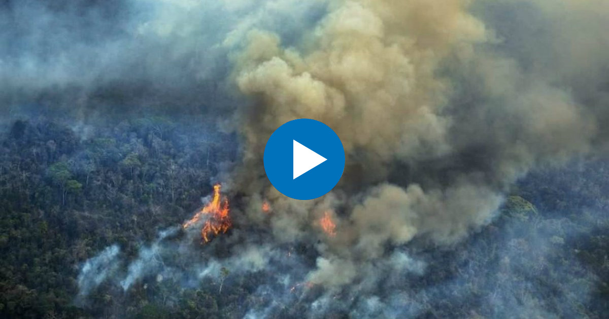 Imagen aérea del incendio en el Amazonas © YouTube/screenshot