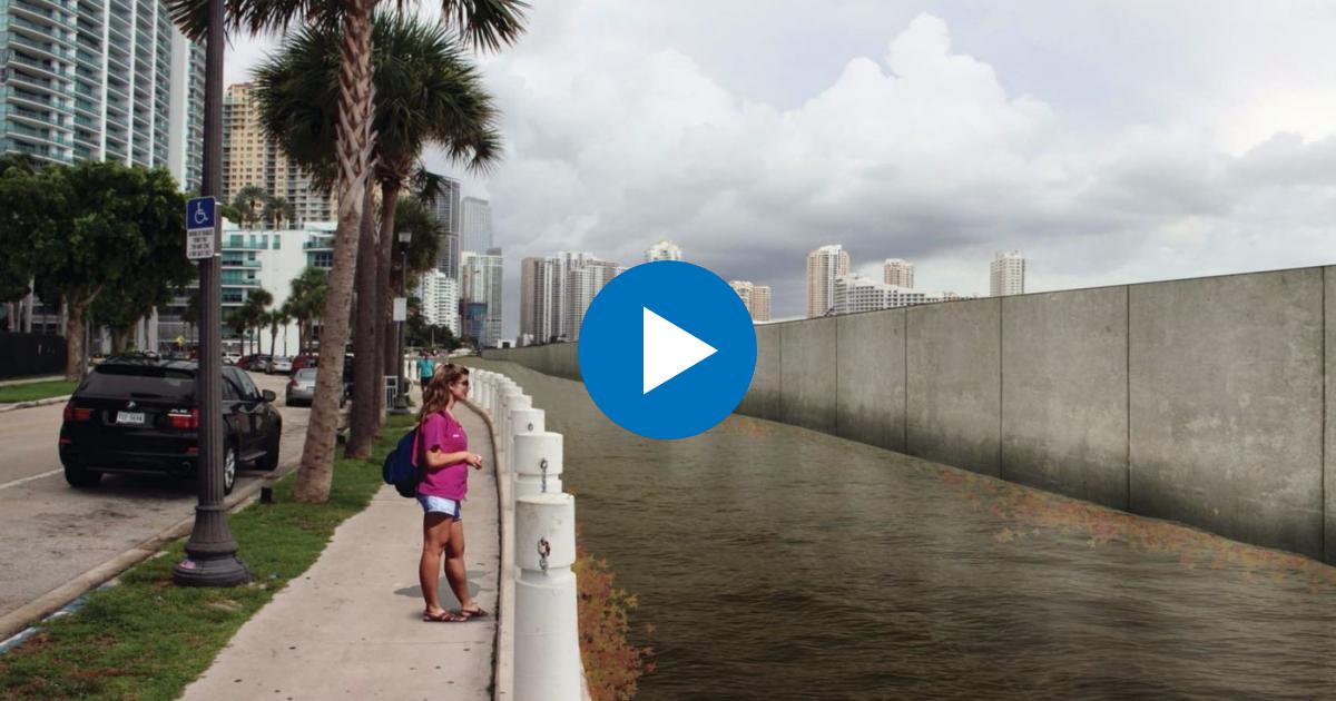 Proyecto de muro en la Bahía de Miami de 4.5 metros. © Curtis +Rogers Desing Studio vía Twitter de Manolo Reyes