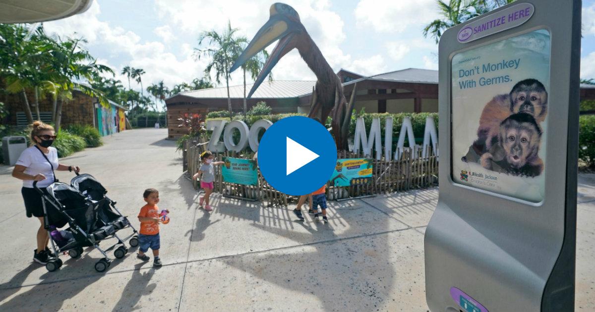 Entrada del Zoológico de Miami © YouTube/screenshot-America Tevé