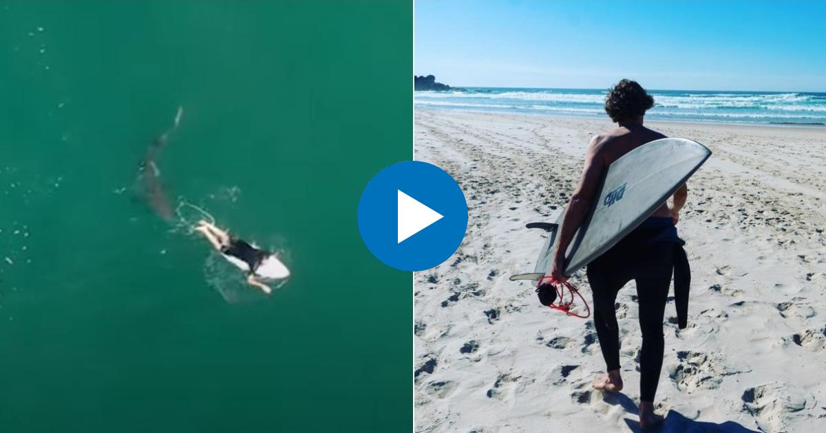 Momento en que el surfista Matt Wilkinson fue rodeado por el tiburón (i) y Matt Wilkinson con su tabla de surf (d) © Collage Twitter / Surf Life Saving NSW - Instagram/ Matt Wilkinson