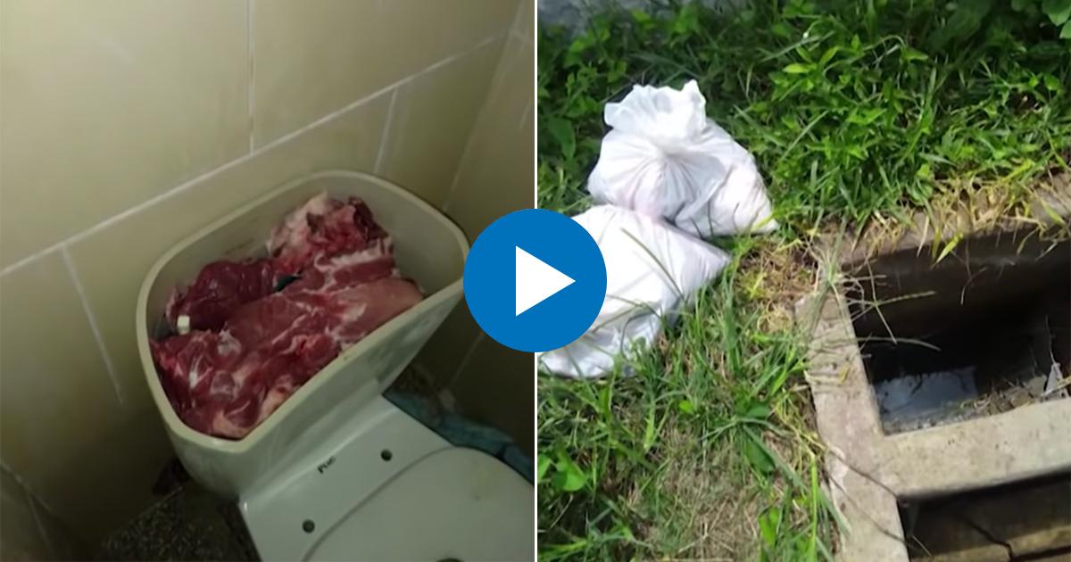 Carne robada en Cienfuegos © Captura de video / TVC