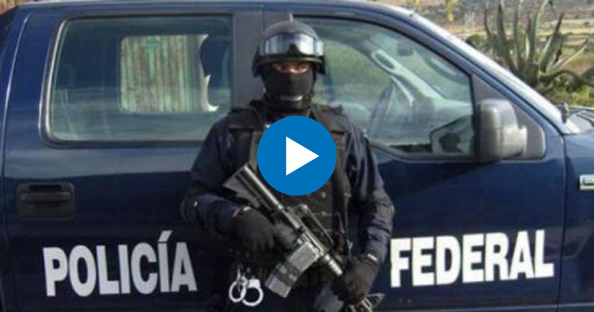 Policía federal de México © Twitter / Martinez1MX