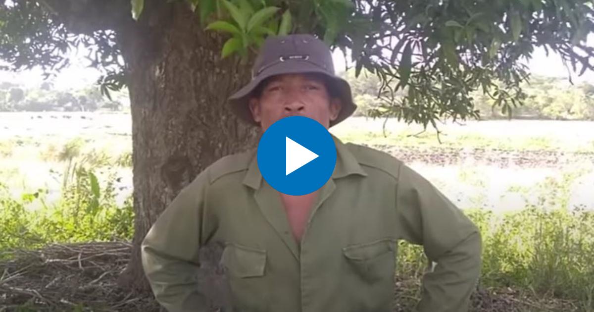 El campesino cubano Yosvanis Guerra Díaz © YouTube/screenshot-Cubanet