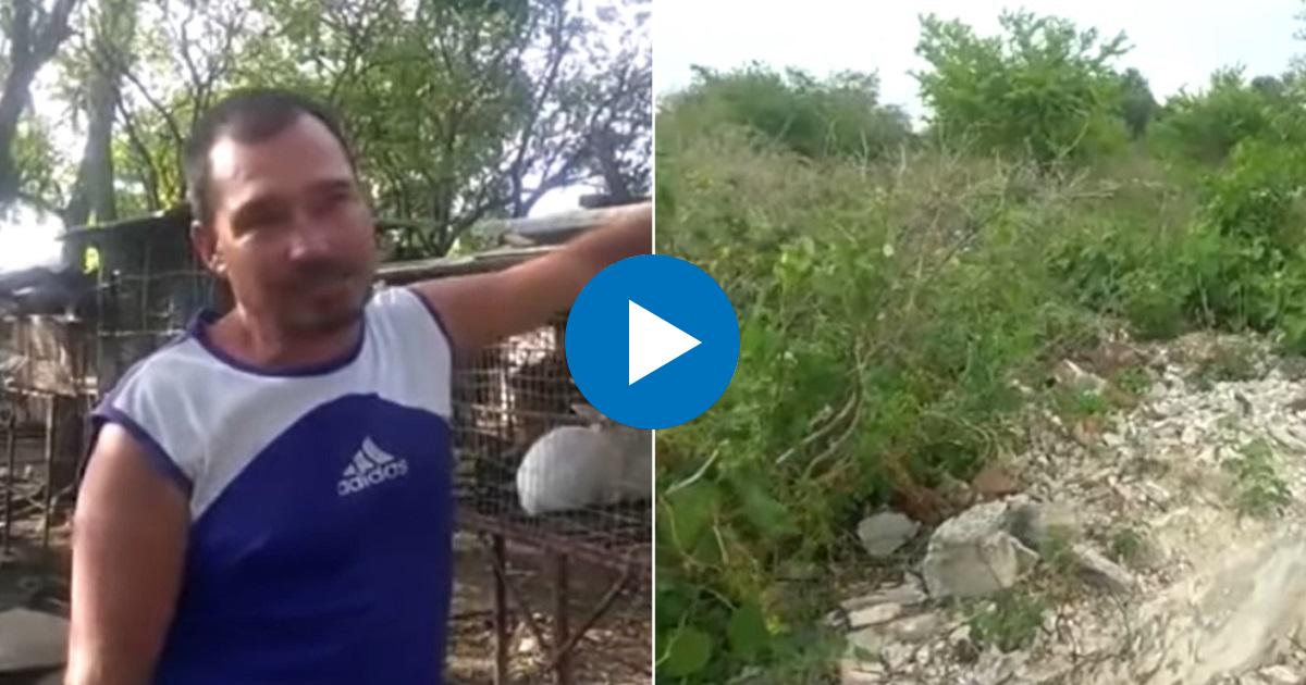Alexander Hidalgo Aguilera y tierras en usufructo en Banes, Holguín. © YouTube / CubaNet
