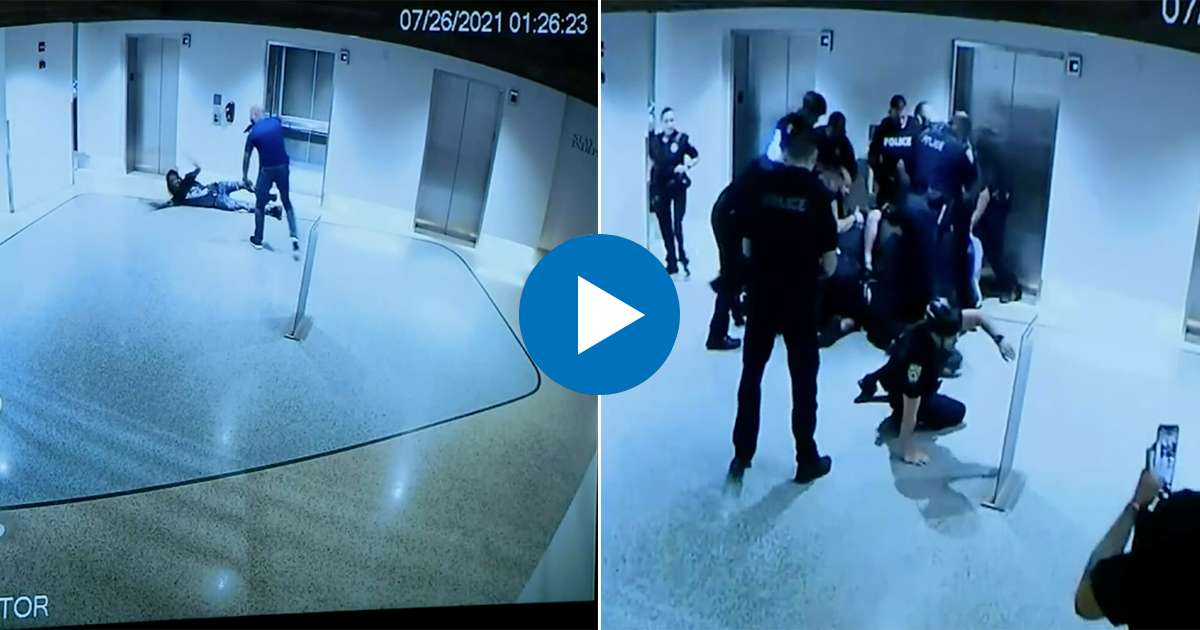 Video de la detención violenta del joven de 24 año © Video vigilancia Hotel Royal Palm