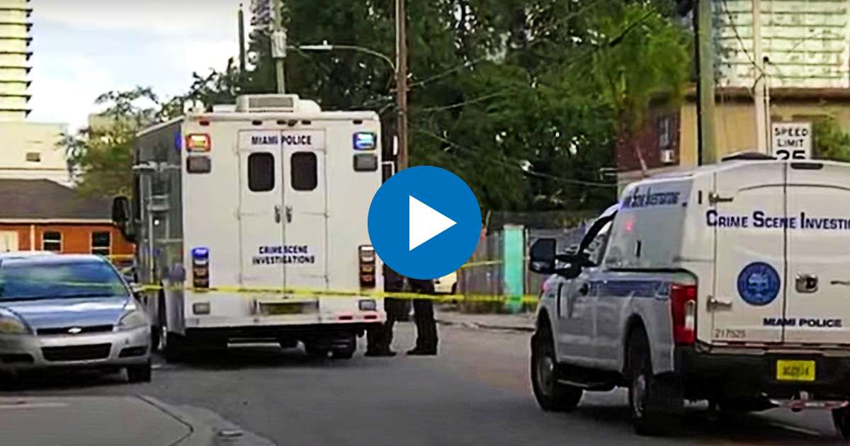 Efectivos de la policía de Miami investigan en el área © Captura de video América TeVe