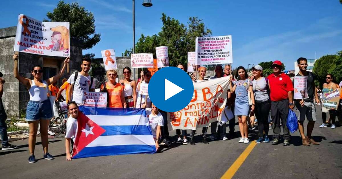 Marcha animalista en La Habana © Facebook Aylín Sardiñas