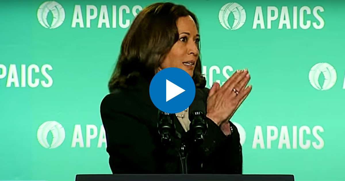 La vicepresidenta Kamala Harris © Captura de video YouTube / FOX 9 Minneapolis-St. Paul