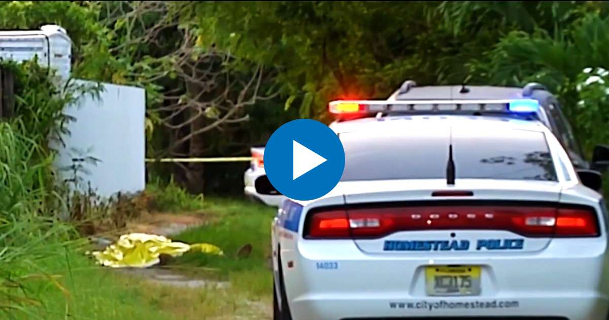 Policía de Homestead ante el cuerpo cubierto del cadáver © Captura de video / Telemundo 51