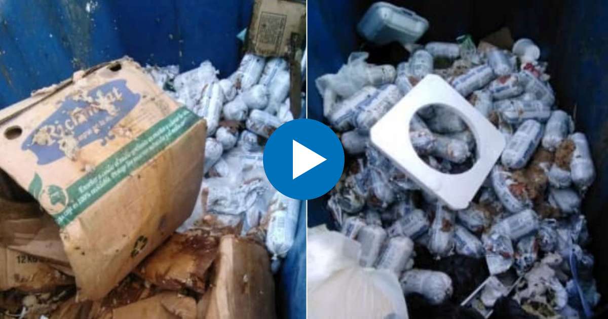 Tubos de picadillo en contenedores de basura © Captura de video de Facebook de Alain Paparazzi TV 
