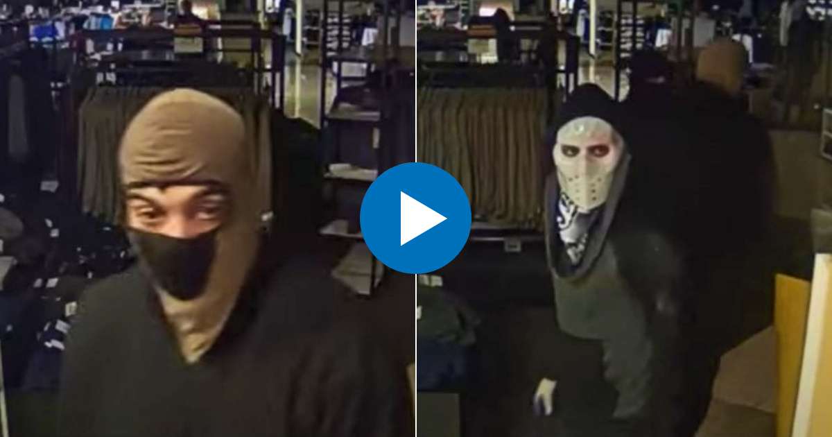 Dos de los ladrones captados por las cámaras de vigilancia del establecimiento © Collage YouTube/Screenshot-Telemundo 51
