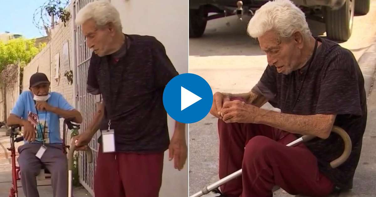 Dos ancianos que no tienen donde vivir en Miami © Collage Captura de Telemundo 51