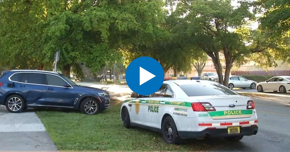 Auto que se intentaron robar y carro policía © Captura de video de YouTube de America TeVe Miami