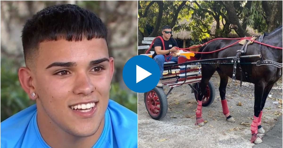 Joven que protagonizó el video que se volvió viral © Collage Captura de Telemundo 51- Facebook/Alexis Boentes