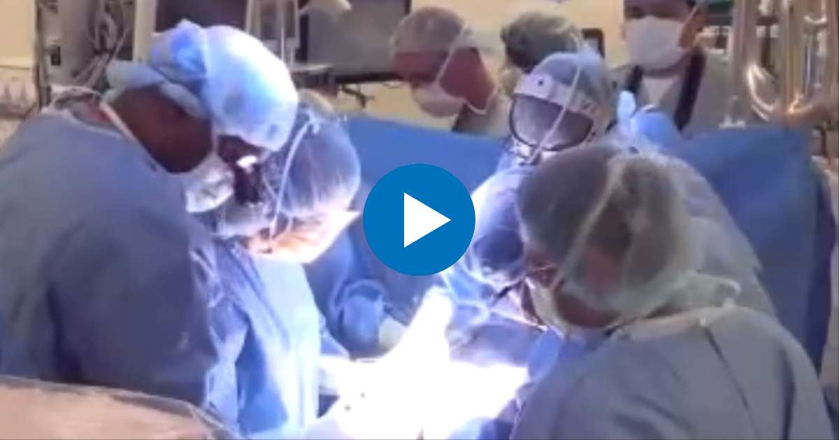 Médicos en trasplantes de corazón © Captura de video / Local 10 News