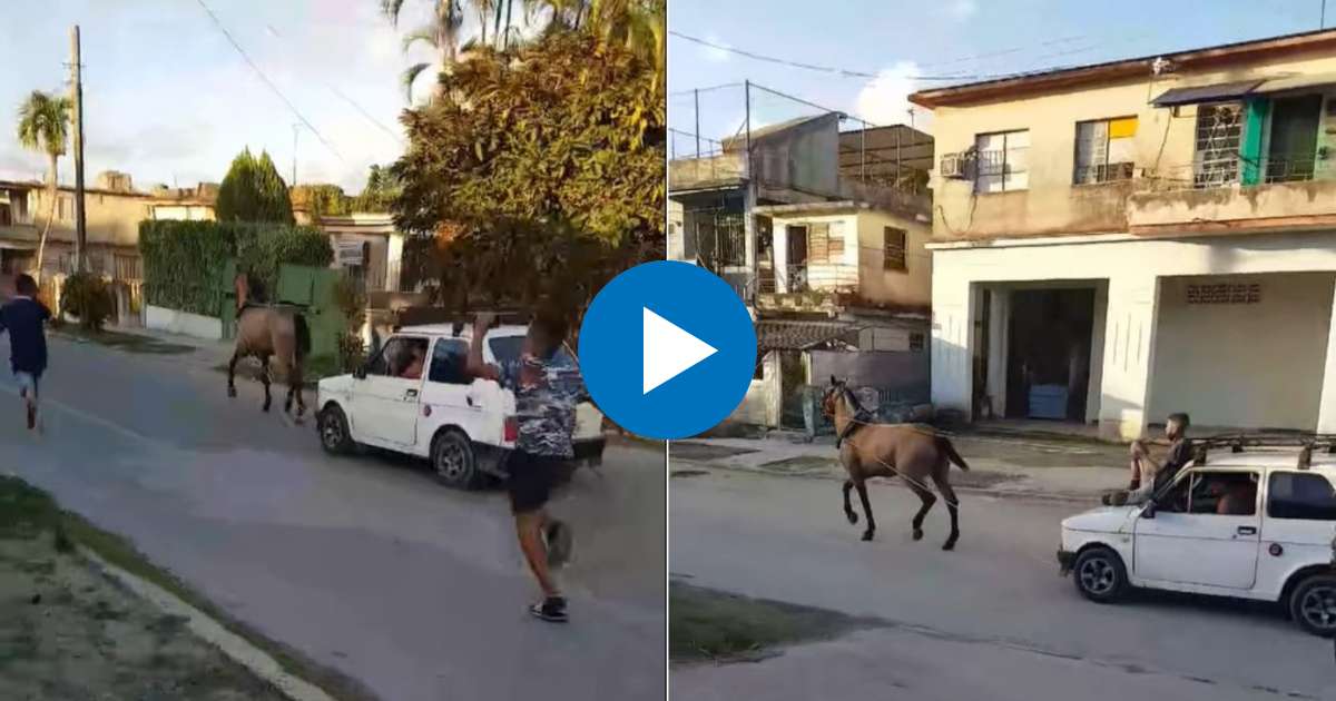 Polaquito tirado por un caballo en Cuba © Captura de video de Facebook de Miguel Galban
