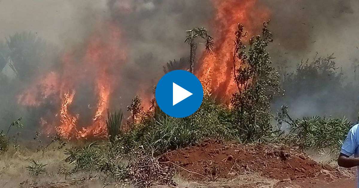 Incendio en áreas aledañas a la Central Diésel Eléctrica de Moa © Facebook/Camilo Velazco Petittón